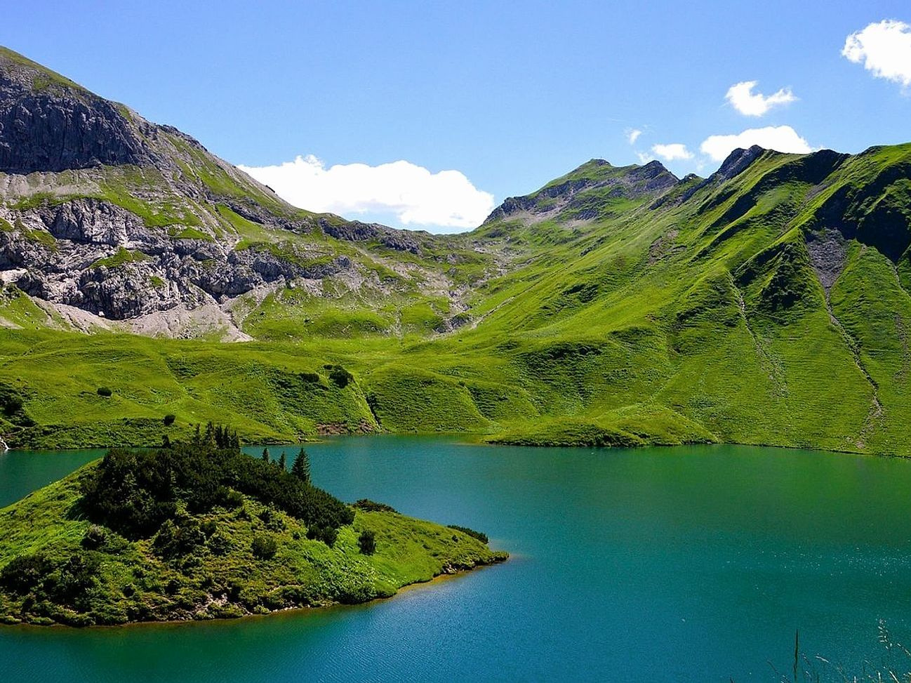 Mamenski izbor